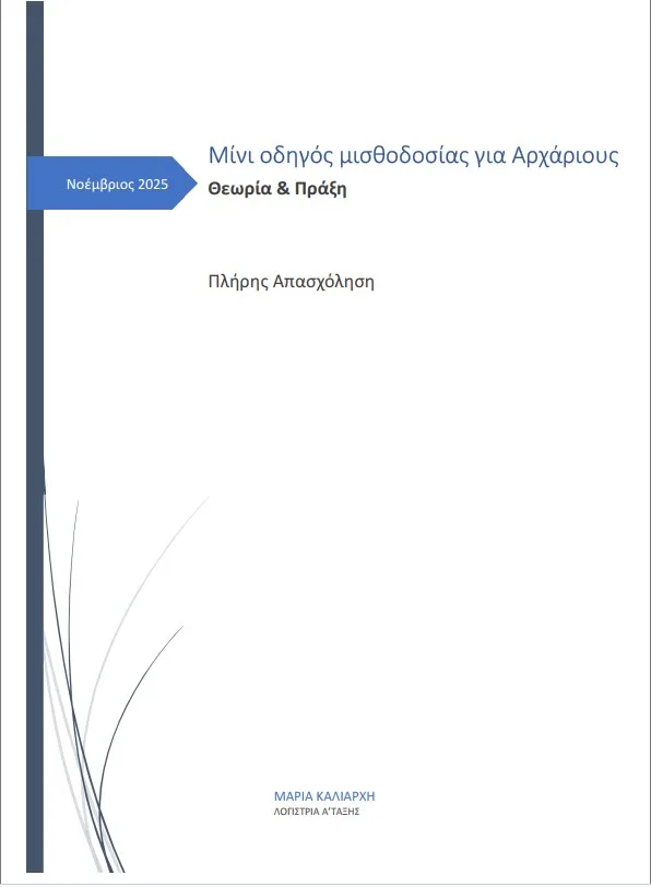 Μίνι Οδηγός μισθοδοσίας - Πλήρη Απασχόληση - Image 2